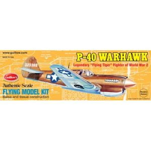 P-40 Warhawk Balsa Plane Wood Kit