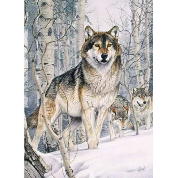 Title: Cobble Hill 1000 Piece Puzzle - Second Glance - Sample Poster Included