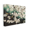 thumbnail image 3 of Cherry Blossom Nature Photography Botanical & Floral Photograph Gallery Wrapped Canvas Print Wall Art, 3 of 7