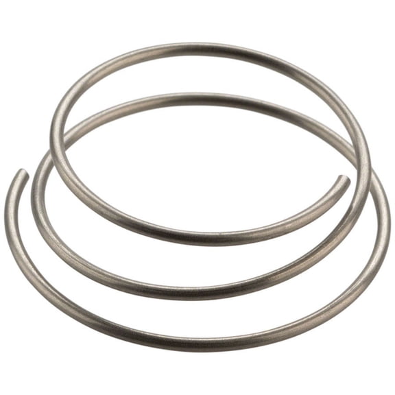 DT-Swiss Star Ratchet Spring- Each