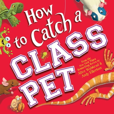 Pre-Owned How to Catch a Class Pet (Hardcover) 172826393X 9781728263939