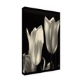 thumbnail image 3 of Trademark Fine Art Martha Guerra Tulips Canvas Wall Art - 22x32, 3 of 5