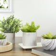 thumbnail image 2 of 6.5" Green Artificial Succulent Arrangement in Faux Marble Pot, 2 of 5