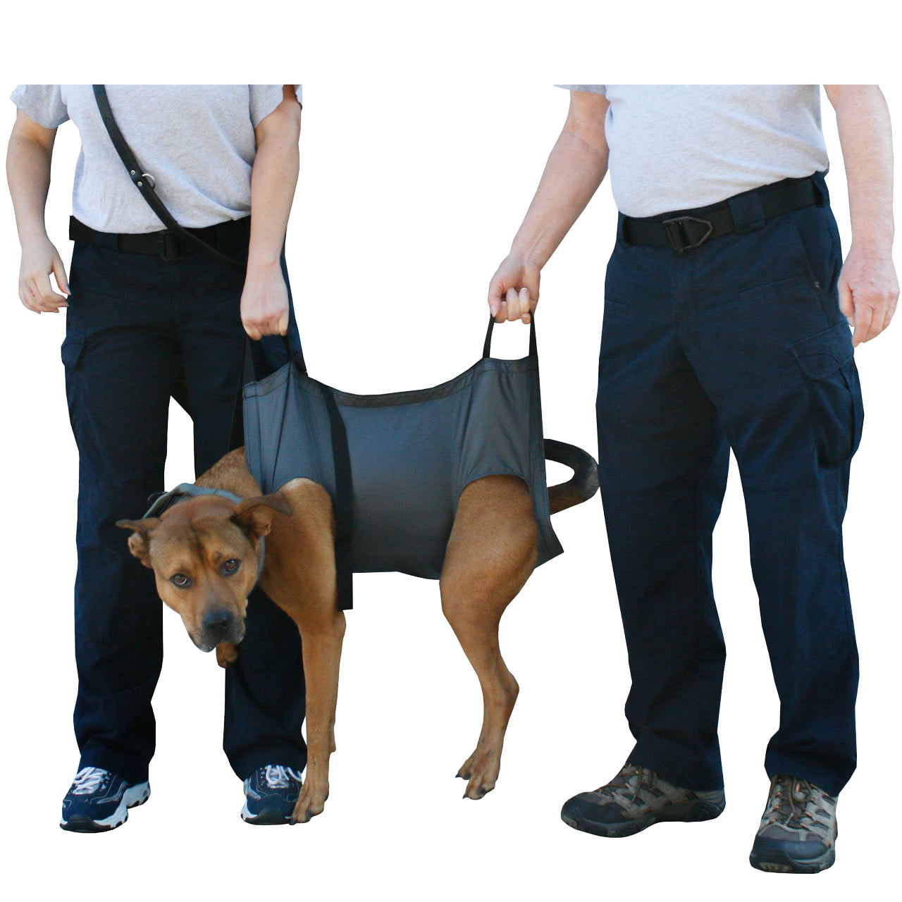QuikLitter K9