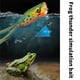 thumbnail image 2 of Toystoory Cebo en forma de rana, atractivo, reutilizable, aparejos, cebos, biónico, vívido, práctico, señuelo de pesca, agua salada, lago de Pescar Tipo-04, 2 of 6