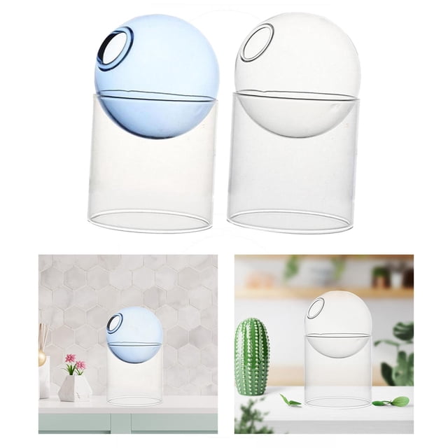 Vase,Transparent Glass Vase Home Decor,Flower Plants Glass Pots Decorative Ornament,Propagation Planter Terrarium Floral Arrangement,Window Home Party Exhibition Wedding Craft,Indoor Clear Blue Soledad Florero