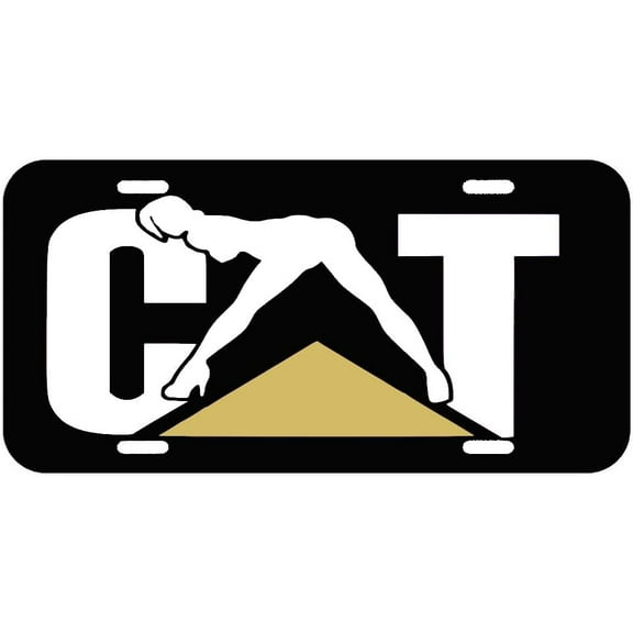 Metal License Plates Funny For Caterpillar Cat Fans License Plate Decorative Plate Decorative Tablet Design-Tf-86-77