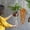 B, variant on Hanging Flowers Hanging Hanging Flowers and Garlands Are Lifelike and Flowers Are Decorated for 28in Inches. Flowers Decorative Flowers in Vase Day Welded Flower Carnation
