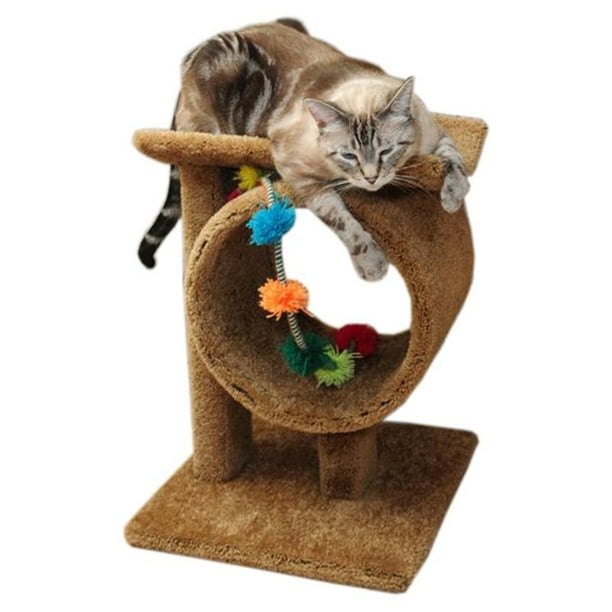 big w cat tunnel