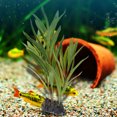 thumbnail image 3 of Simulación de plantas subacuáticas, tanque de peces, decoración de acuario de hierba de agua de plástico falso Hugtrwg Para estrenar, 3 of 8