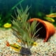 thumbnail image 4 of Simulación de plantas subacuáticas, tanque de peces, decoración de acuario de hierba de agua de plástico falso, 4 of 8
