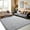 Light Gray, variant on Socofuz 2x3 Fluffy Rug for Bedroom Kids Room Nursery, Small Carpet for Boys Indoor Soft Carpets Light Gray