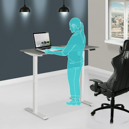 Techni Mobili Motorized Electric 29"-48" Sit-to-Stand Desk, Grey (RTA-3839SU-GRY)