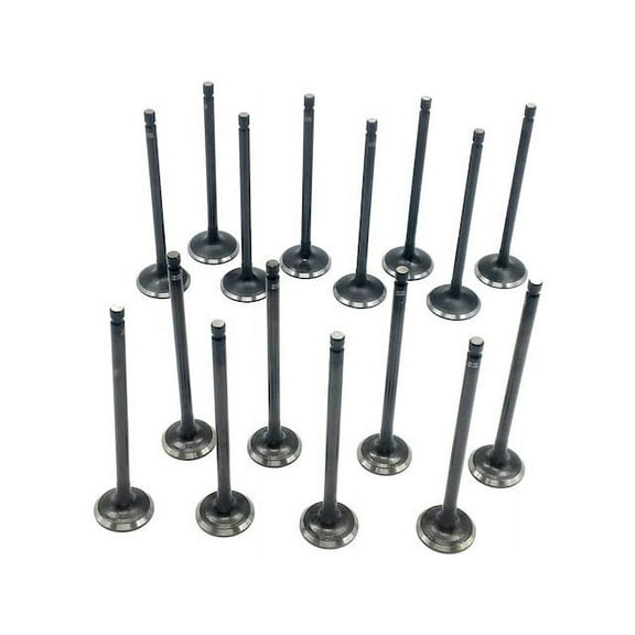 Intake and Exhaust Valve Kit - 16 Piece - Compatible with 2001 - 2012 Hyundai Elantra Hatchback 4-Door 2.0L 4-Cylinder 2002 2003 2004 2005 2006 2007 2008 2009 2010 2011