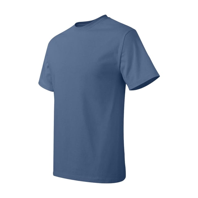 Hanes Men's Authentic-T T-Shirt - 5250T (Pack Of 5)