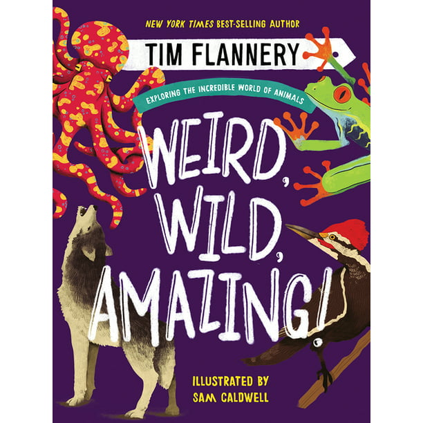 Weird, Wild, Amazing! : Exploring the Incredible World of Animals  (Hardcover) 