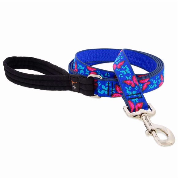 LEASH DOG SCL BTTRFLY 6'(Pack of 1)