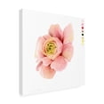 thumbnail image 2 of Grace Popp 'Watercolor Ranunculus Study II' Canvas Art, 2 of 4