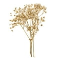 thumbnail image 6 of 1Bag Dyed Natural Real Pressed Dried Flowers/Pressed Leaves For Resin Jewelry Pendant Case arts and crafts DIY Bookmarks decor - White, 6 of 8