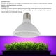 thumbnail image 4 of Bombilla LED Para Cultivo, Bombilla Para Lámpara De Planta De Interior De 110 A 220 V, Instalación Sencilla Versátil De 200 LED Para Invernadero, 4 of 7