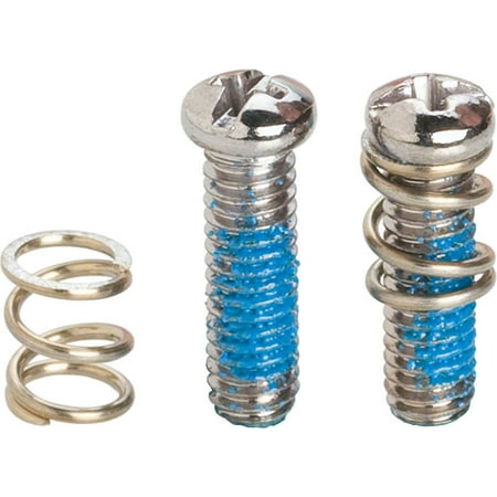 - Campagnolo Rear Derailleur Limit Screws/Springs for SR/RE