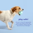 thumbnail image 5 of Oodles Durable Textured Rubber Ball and Bone Dog Toy Set, Blue, One Size, 5 of 6