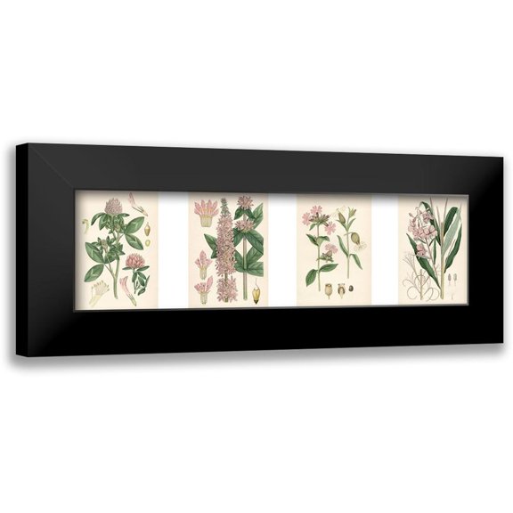 Unknown 14x7 Black Modern Framed Museum Art Print Titled - Pink Botanicals