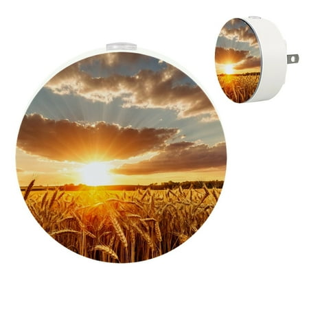 

YZUOUZY Night Lights Plug into Wall Lamps for Bedroom Bedroom Lamps Set of 2 Wheat Ears Sunset Sunshine Fields