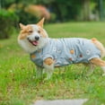 thumbnail image 3 of Guiexla Pet Clothes Cartoon Pattern Pet Jumpsuit Breathable Comfortable Soft Cotton Dog Pullover Pet Supplies, 3 of 7