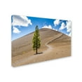 thumbnail image 3 of Trademark Fine Art "Cinder Cone" Canvas Art by Pierre Leclerc, 3 of 3
