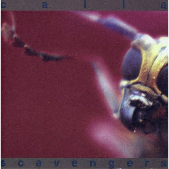 Calla - Scavengers - Music & Performance - CD