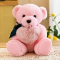 thumbnail image 2 of Hug Bear Teddy Bear doll plush doll pink 30cmLG295, 2 of 7