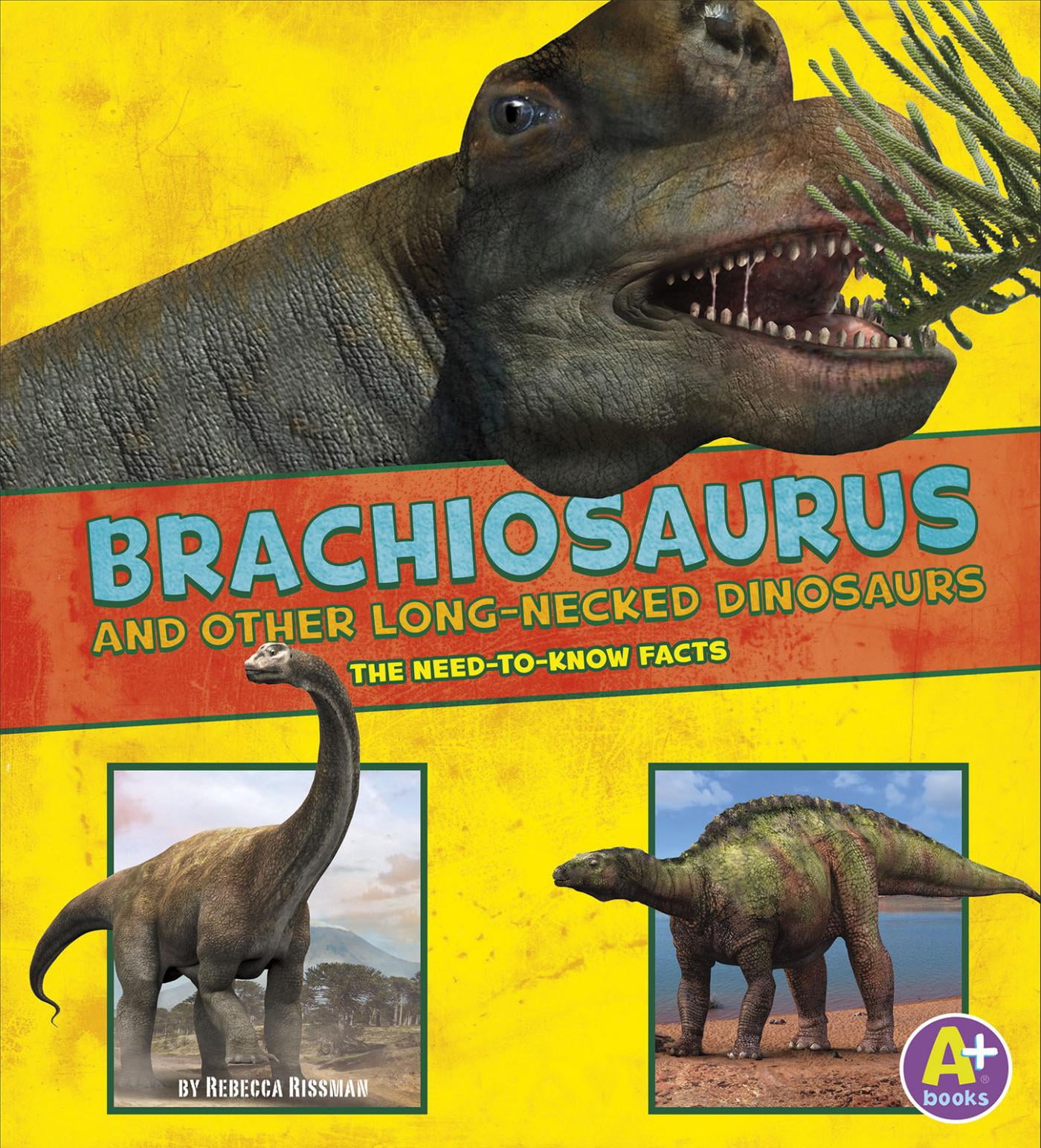 Dinosaur Fact Dig Brachiosaurus And Other Big Long Necked Dinosaurs 
