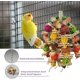 thumbnail image 3 of Juguetes para loros, juguetes para masticar pájaros de mazorca de maíz natural para guacamayos pequeños y medianos, loros grises africanos, loros amazónicos, juguetes para jaulas de pájaros, 3 of 5