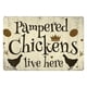 thumbnail image 1 of Hojalata Rectangular 30*20cm Serie Pollo Plano, 1 of 9
