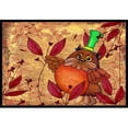 thumbnail image 1 of Carolines Treasures PJC1092MAT Hootie Fall Owl Tapis Intérieur & Extérieur - 18 x 27 Po., 1 of 4