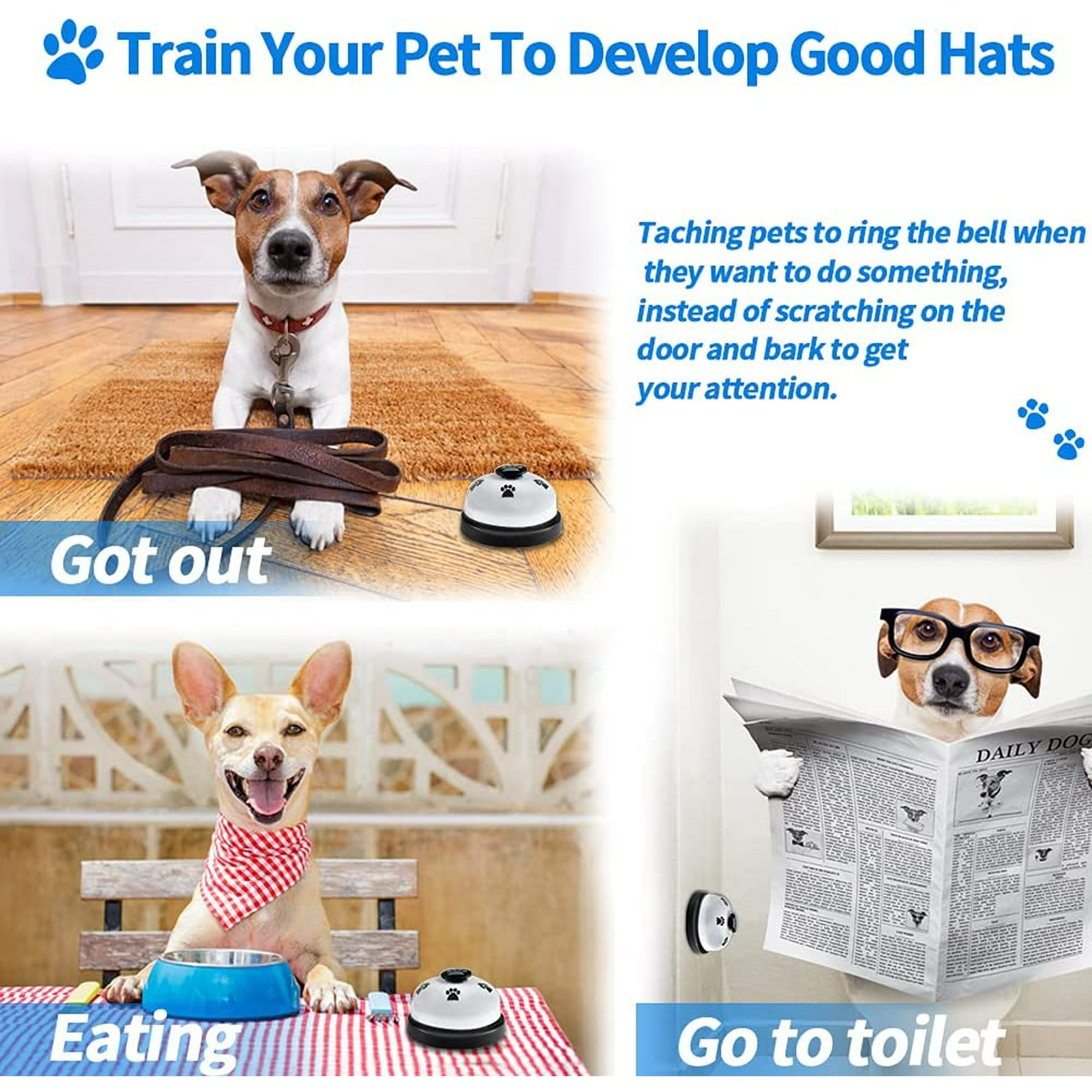 Bell for dog to go out best sale