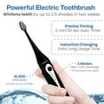 thumbnail image 5 of Aquasonic Home Dental Center - Electric Sonic Toothbrush & Smart Water Flosser Combo, 3 Cleaning Modes, Inductive Charging, Auto Timer, Complete Oral Care Kit for Family (Black), 5 of 8