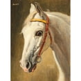 thumbnail image 2 of Alexander Pock 19x24 Black Ornate Framed Double Matted Museum Art Print Titled: Horse Portrait Quinta (1926), 2 of 5