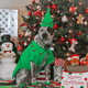 thumbnail image 5 of Herramienta para hornear galletas de fondant tridimensional con temática navideña con juego de sellos de émbolo, pan de jengibre para niño/niña, muñeco de nieve, Papá Noel, árbol de Navidad, reno,, 5 of 5