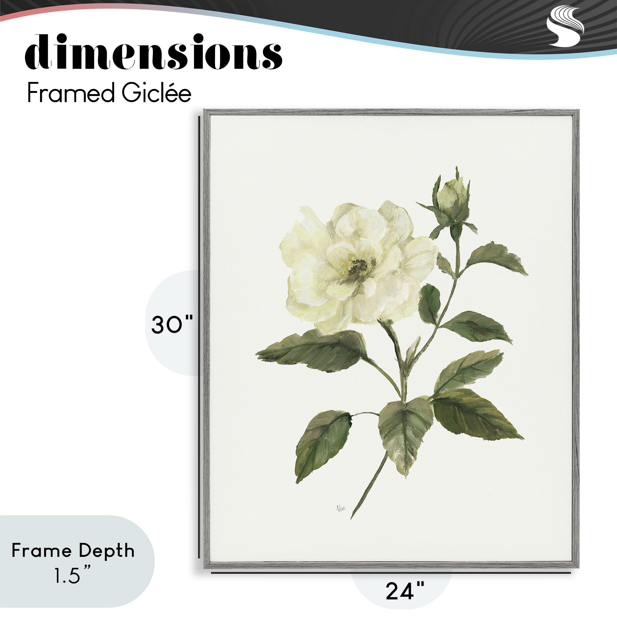 Stupell Industries Ivory Rose Bloom With Green Foliage Gray Framed Giclee Art, design by Nan