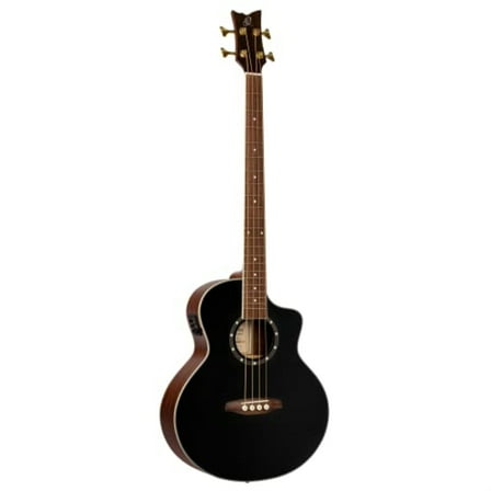 Deep Series Medium Scale Acoustic-Electric Bass