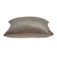 thumbnail image 2 of Parkland Collection PILE11203P Druzy Taupe Carré Coussin de Transition avec Insert en Poly - 20 x 20 x 7 Po., 2 of 2