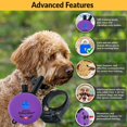E-Collar Educator ME-302-DMBC Remote Dog Training Collar, 2 Dog, Purple ...