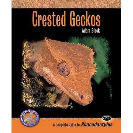 - Crested Geckos