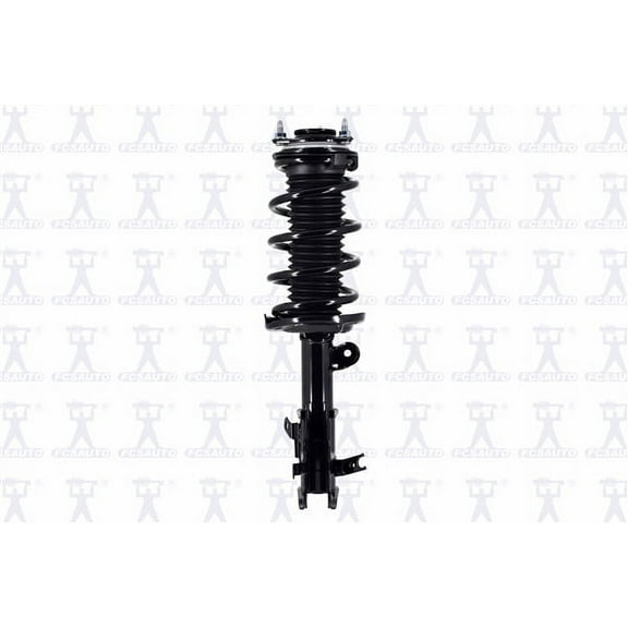 Suspension Strut and Coil Spring Assembly