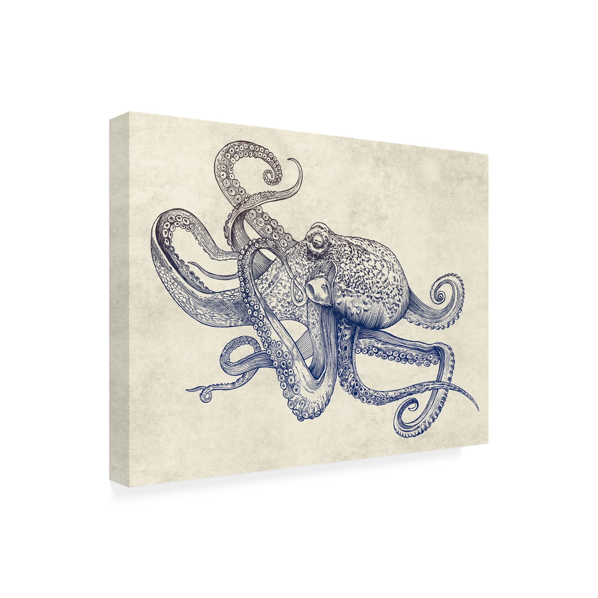 Trademark Fine Art 'Octoflow' Canvas Art by Rachel Caldwel