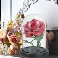 thumbnail image 5 of Uxcell 7.1"x3.5" Clear Cloche Glass Dome Glass Bell Jar Display Case Tabletop Centerpiece with Base, 5 of 6