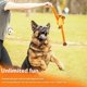 thumbnail image 4 of Interactive Tug Toy for Dogs, Plush Squeaky Bear with Stretchy Arms and Legs, Chew Resistant Training Toy for All Breeds, 45 × 12 cm, 4 of 5
