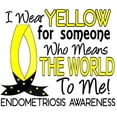 thumbnail image 2 of CafePress - Means World To Me 1 Endometriosis Shirts Ornament -  Round Wood Ornament 4", 2 of 2